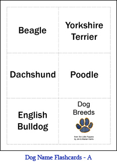 Small Format Dog Flashcards – Set A – Dog Names